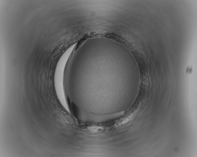 X0000090990818200708091517