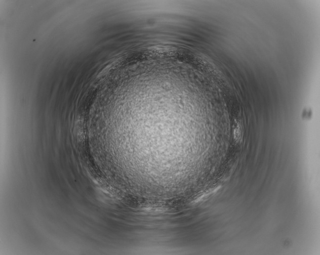 X0000090990819200708091517