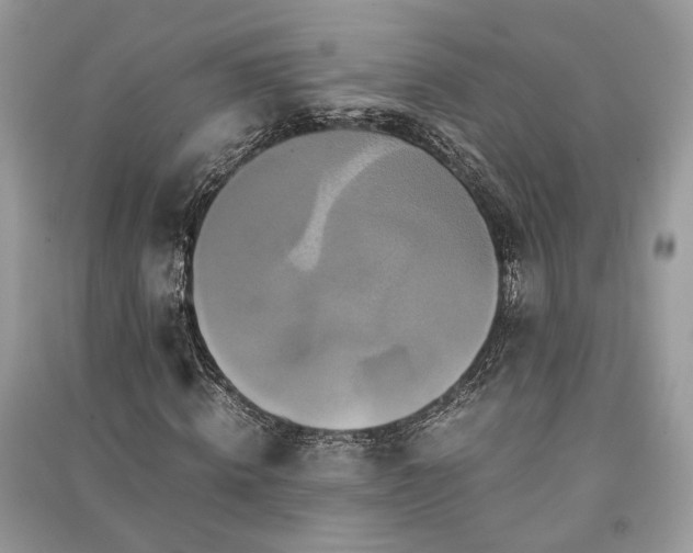 X0000090990820200708091517