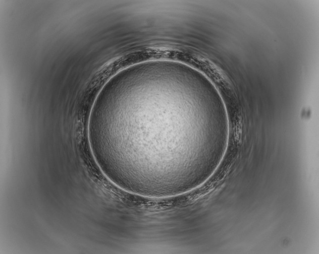 X0000090990821200708091517