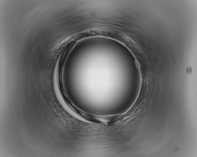 X0000090990822200708091517