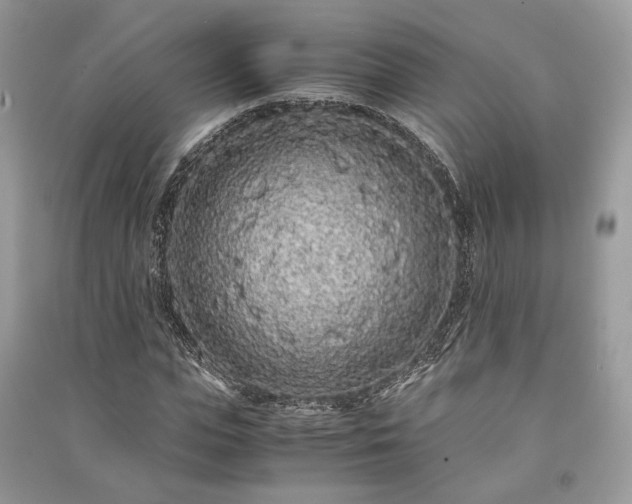 X0000090990823200708091517