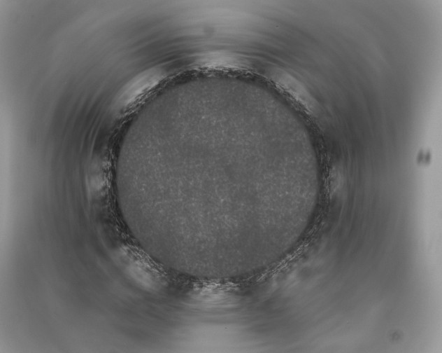 X0000090990824200708091517