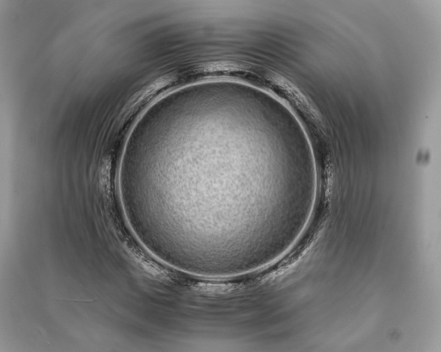 X0000090990825200708091517