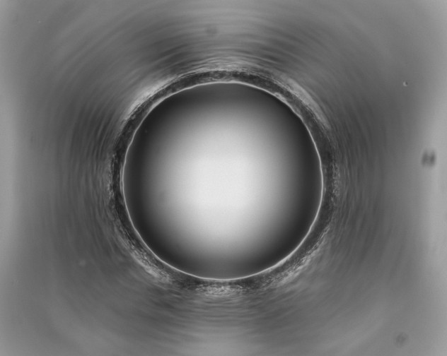 X0000090990826200708091517