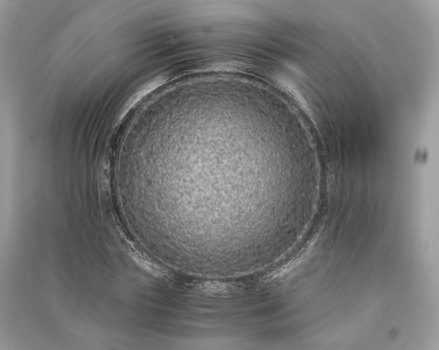 X0000090990827200708091517