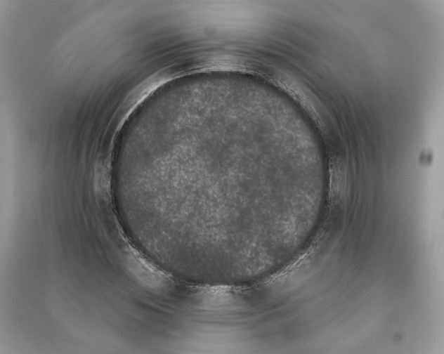 X0000090990828200708091517