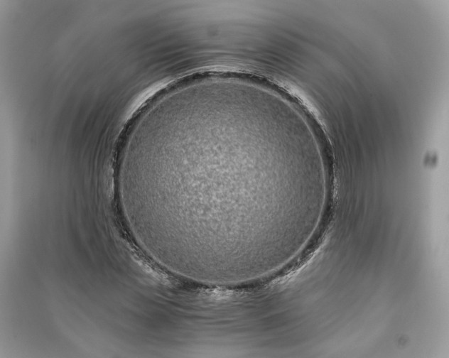 X0000090990829200708091517