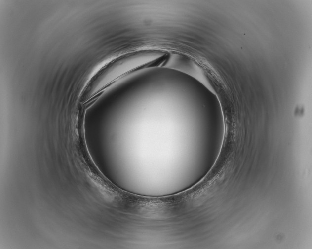 X0000090990830200708091517