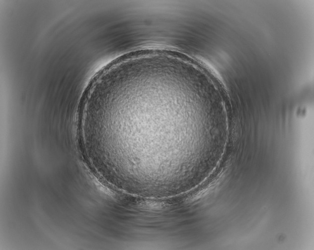 X0000090990831200708091517