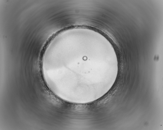 X0000090990832200708091517