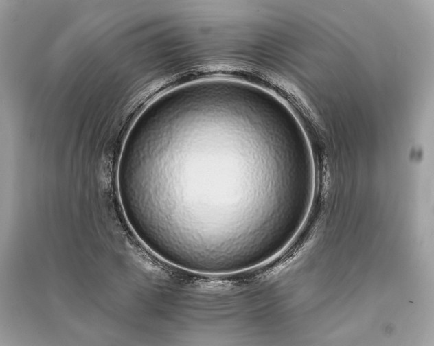 X0000090990833200708091517