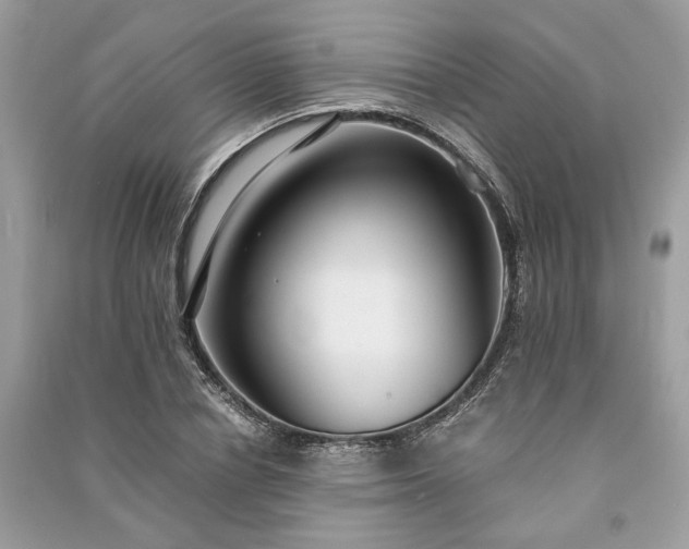 X0000090990834200708091517