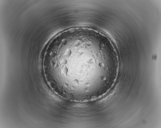 X0000090990835200708091517