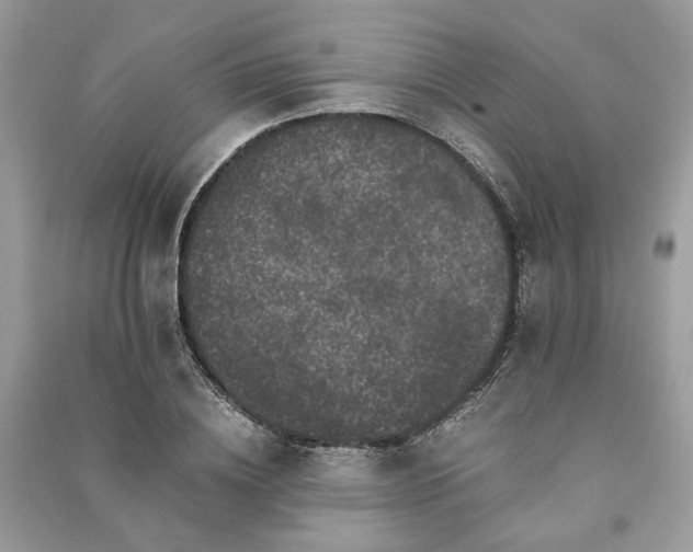 X0000090990836200708091517