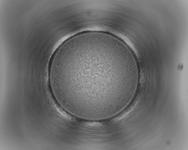 X0000090990837200708091517