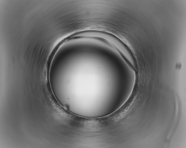 X0000090990838200708091517