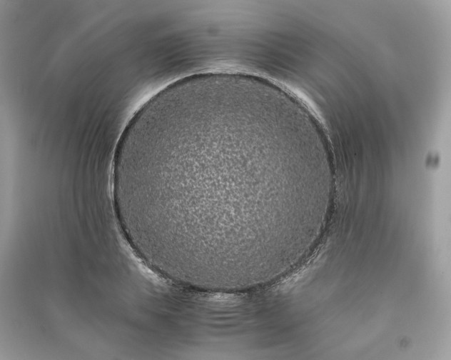 X0000090990839200708091517