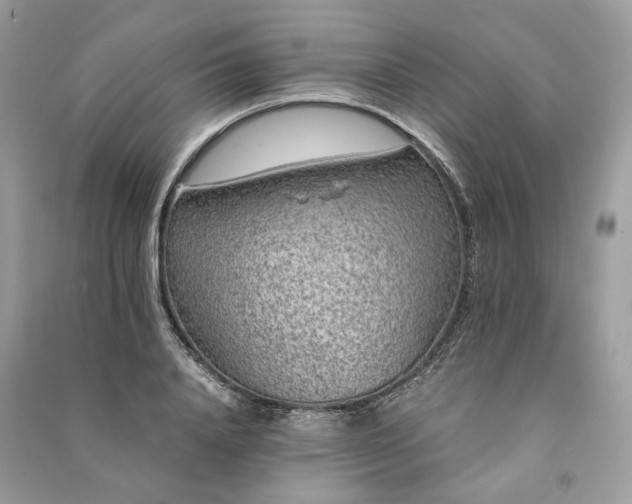 X0000090990840200708091517