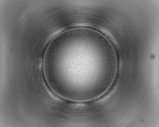 X0000090990841200708091517