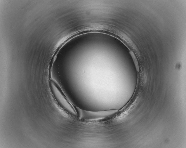 X0000090990842200708091517