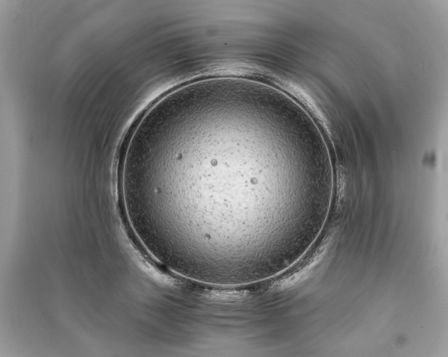 X0000090990843200708091517