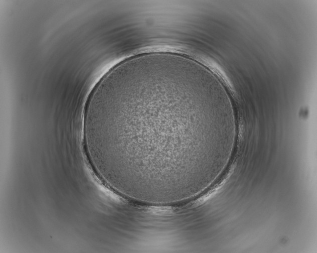 X0000090990844200708091517