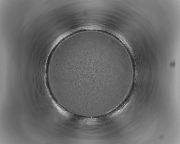 X0000090990845200708091517