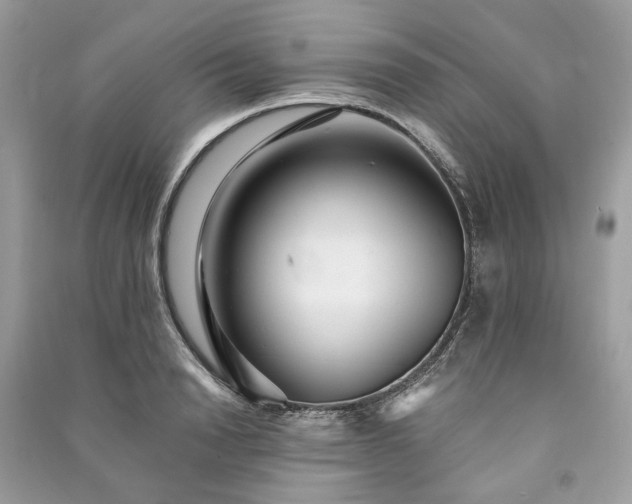 X0000090990846200708091517