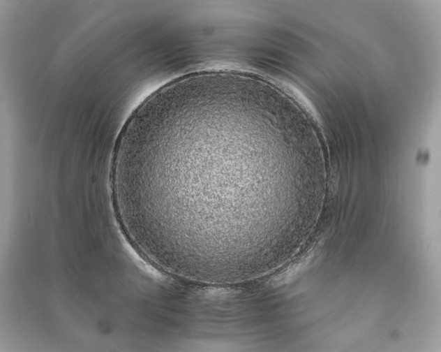 X0000090990847200708091517