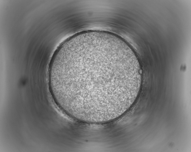 X0000090990848200708091517