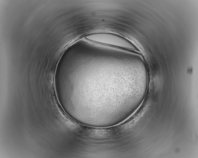 X0000090990849200708091517