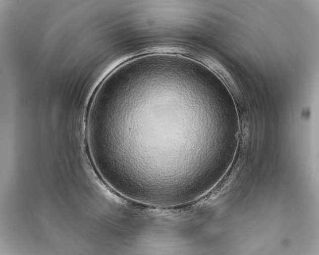 X0000090990852200708091517