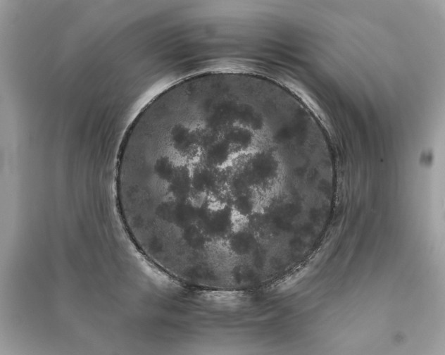 X0000090990853200708091517