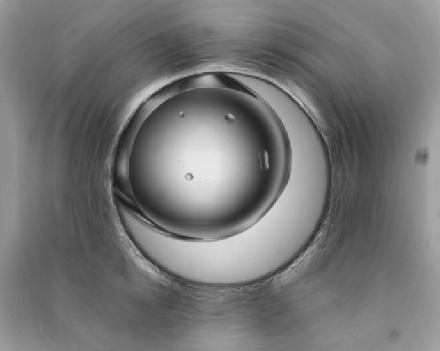 X0000090990854200708091517