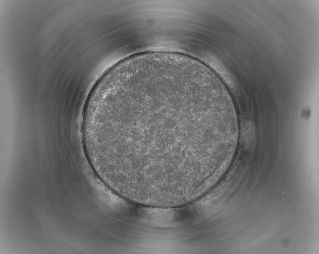 X0000090990856200708091517