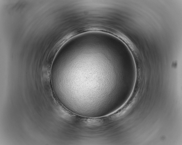 X0000090990857200708091517