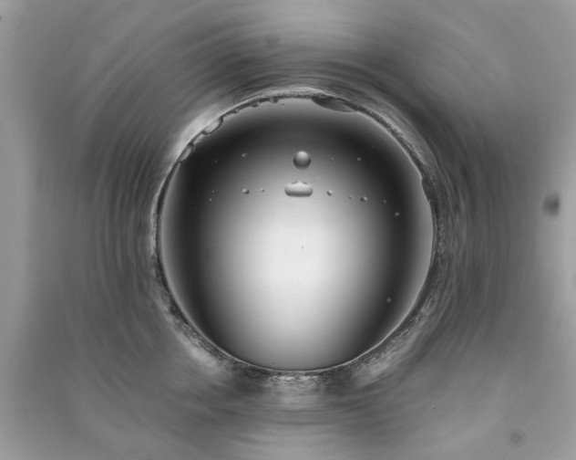 X0000090990858200708091517