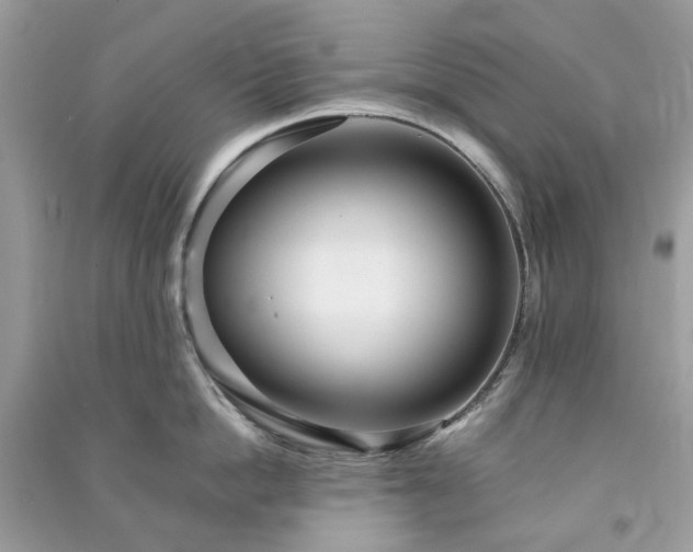 X0000090990862200708091517