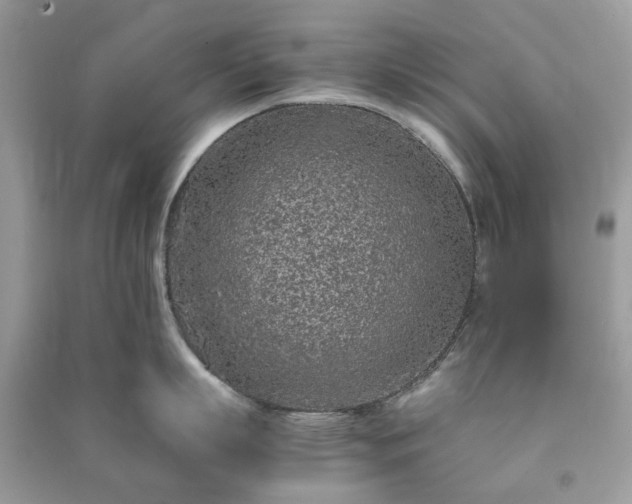 X0000090990863200708091517