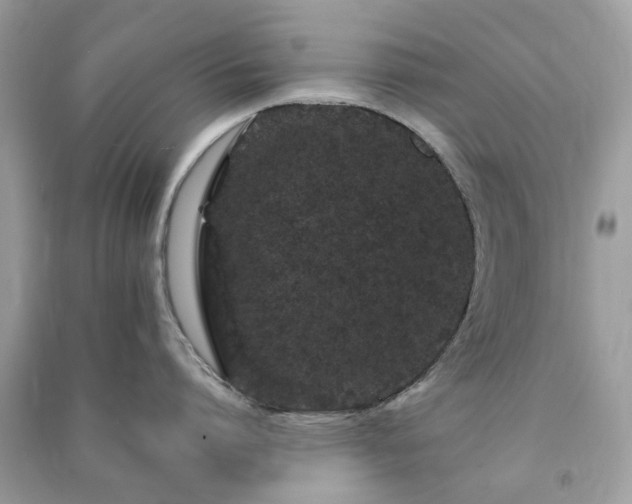 X0000090990864200708091517