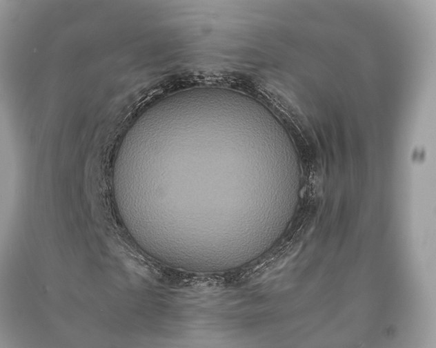 X0000090990865200708091517