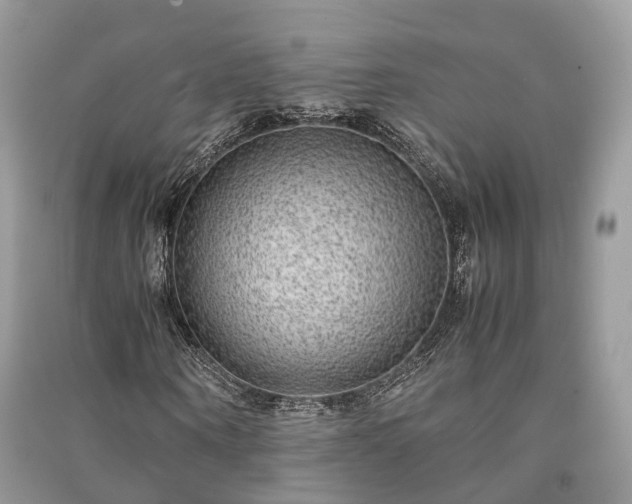 X0000090990866200708091517