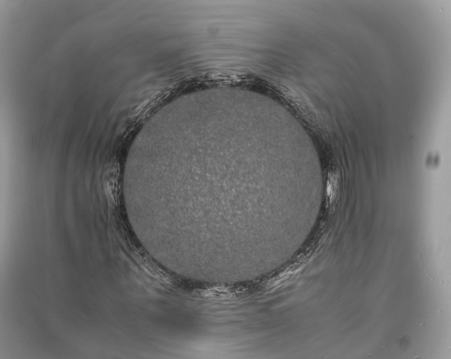 X0000090990867200708091517