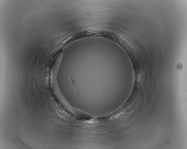 X0000090990868200708091517