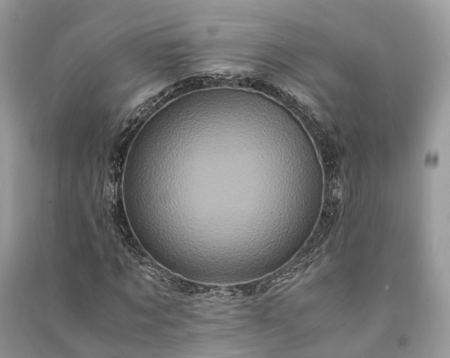 X0000090990869200708091517