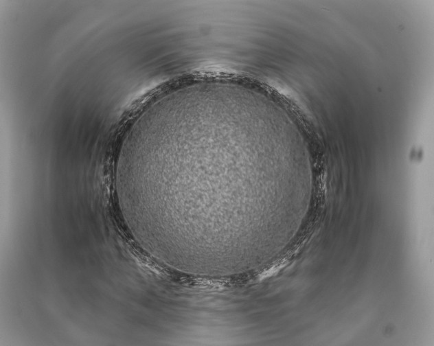 X0000090990870200708091517