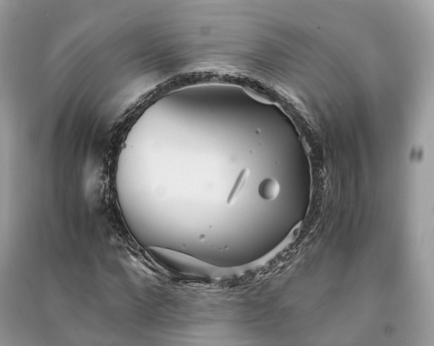 X0000090990872200708091517