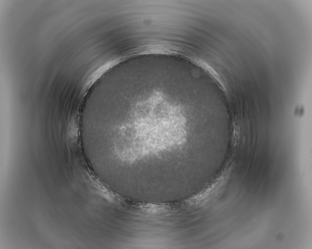 X0000090990874200708091517