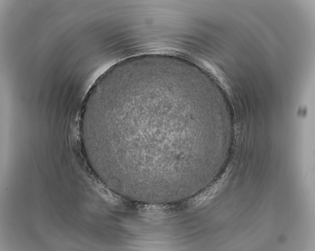 X0000090990875200708091517